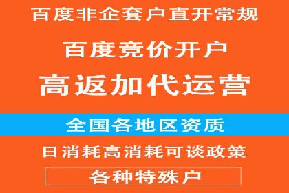 SEM推广案例：打造高效广告投放策略